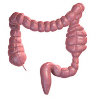 Coloncopia izquierda Dr. Angel A. Castro. (2022)