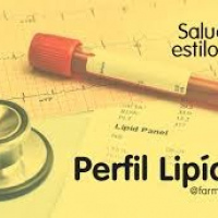 Perfil lipidico (colesterol total, colesterol HDL, trigliceridos). 903818 Idime (2022)