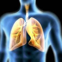 Ventilacion voluntaria maxima. 893822 Idime (2024)