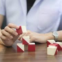 Prueba cognitiva. Instituto Roosevelt. (2022)