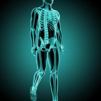 Resonancia nuclear magnetica de sistema musculoesquelético.883590 Idime (2022)