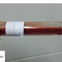 Crioaglutininas.906901  Idime (2022)