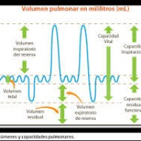 Volumenes pulmonares por gases (Helio, otros) pre y post broncodilatadores. 893702 Idime (2024)