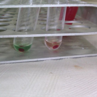 Coombs directo. 911010  Idime. (2022)