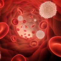 Porcentaje de saturacion de transferrrina. 903044.  Idime (2022)