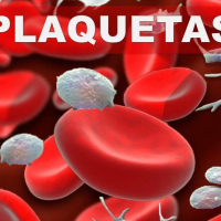Recuento de plaquetas. 902220  Idime (2022)